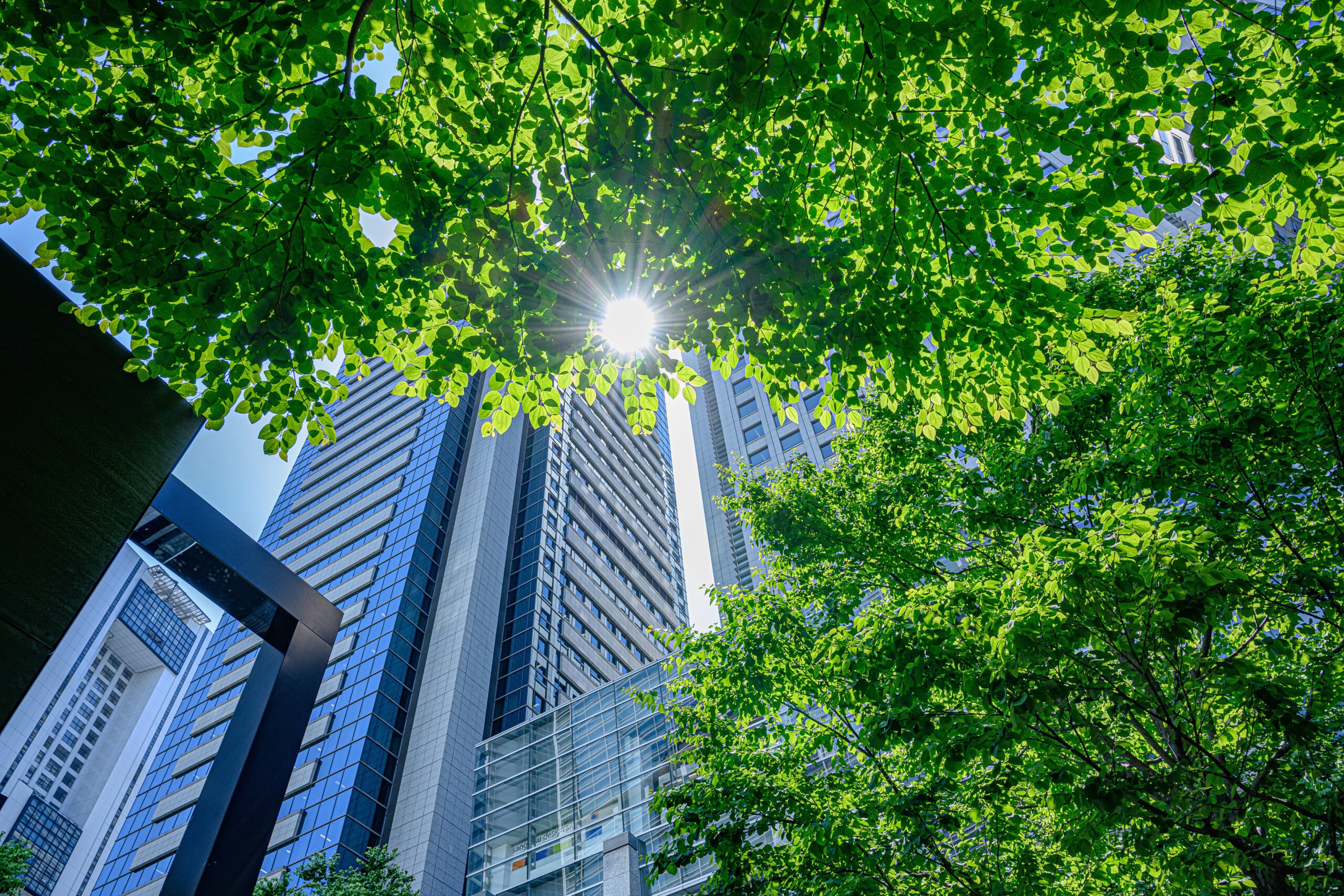 Who We Are 1 MIR Green Buildings Lumina Infrastructure