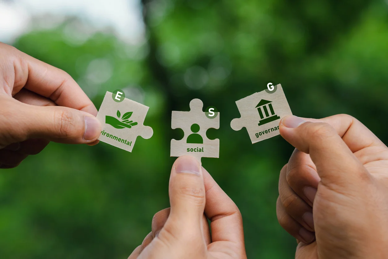 ESG Consulting
